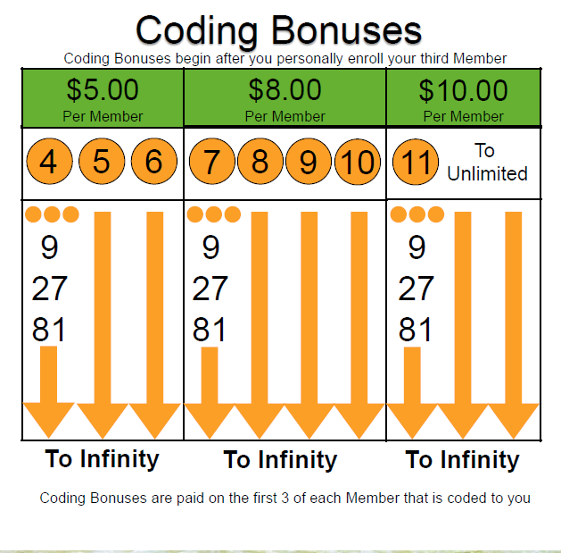 My Fun Life Coding Bonuses