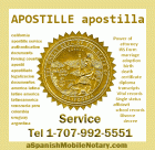 Apostille service, translation